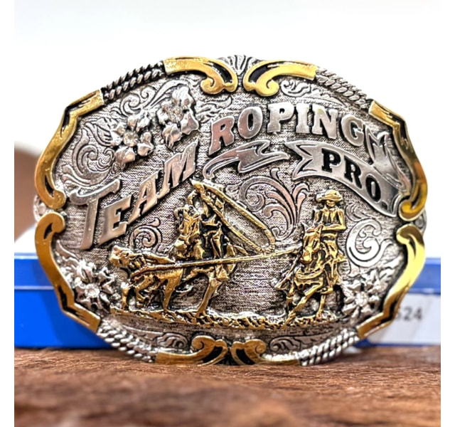 image_1eb3a008-7b12-4b1a-8c0a-2932888aeec1