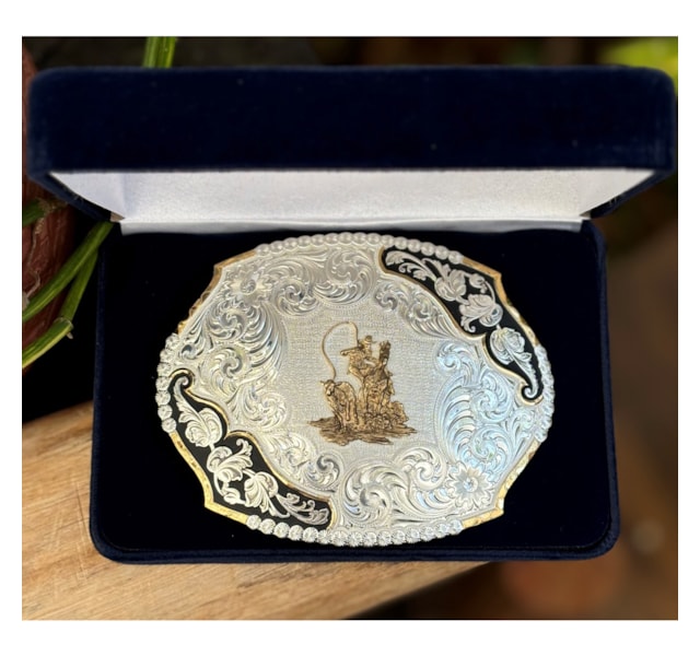 image_ee80a743-adb5-41d8-87a0-03f6013c6ccf