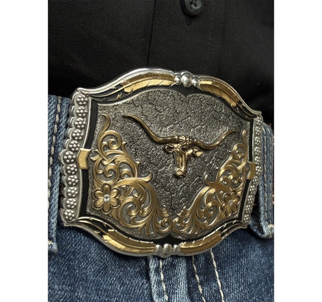 image_a57bac9b-e000-464a-ba56-1c2304252650