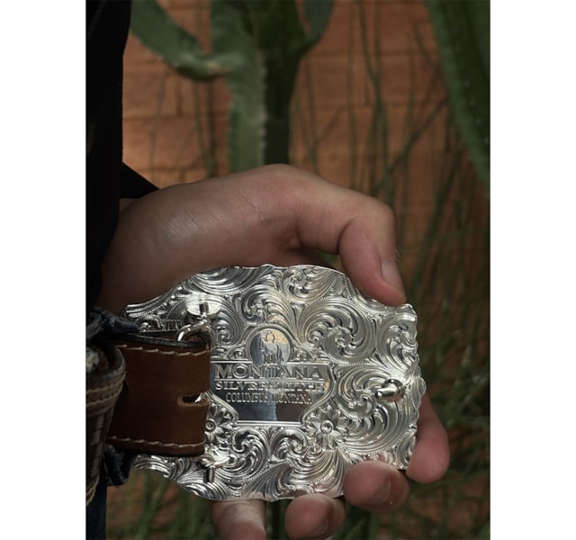 image_ae8a7975-f349-4394-91e9-27ef151919c1