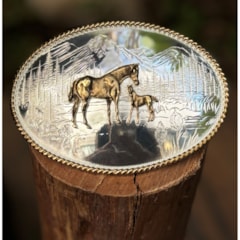 Fivela Montana Silversmiths 6250