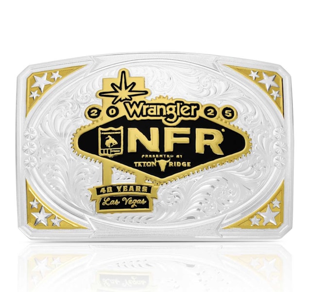 image_bc945c52-e946-4fa0-8e67-af3911af2cd8