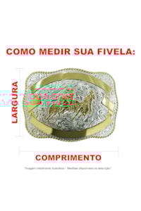 Fivela Montana Silversmiths Texas Long Horn A843