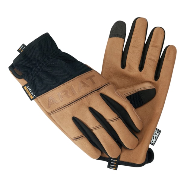 image_01948b03-a990-484c-a235-6af253ed0336