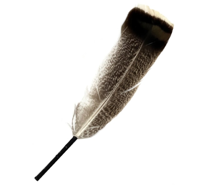 image_343d1fe6-c283-4f03-9aa2-ab16209da2e4