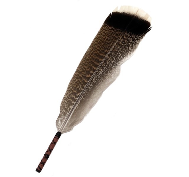 image_73dce1ac-aa85-470c-8a7b-b78a95ad995c