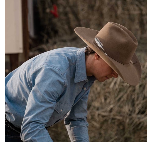 image_021bcd1b-4a25-45d5-a194-06e39cc7e7d8