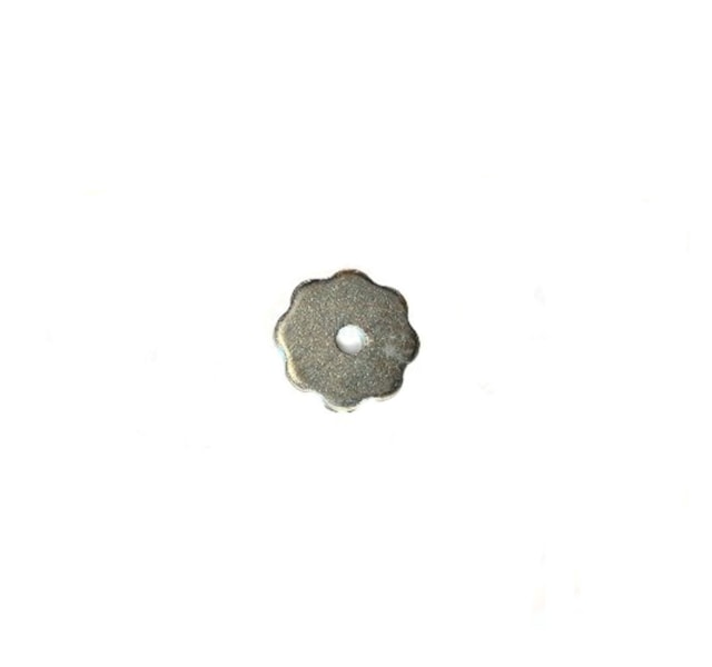 image_173c8436-3d76-4b75-8944-f9773f6ef972