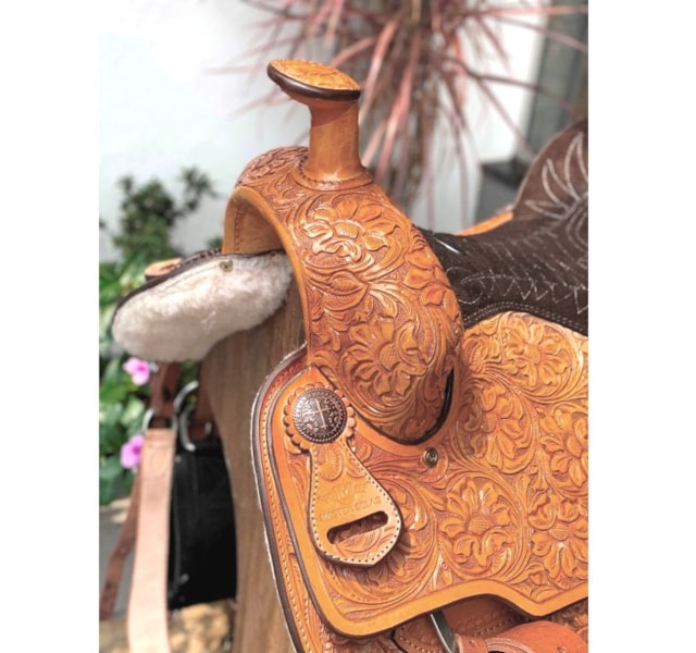 image_46592237-d749-4c22-8e5b-2cc58a063533