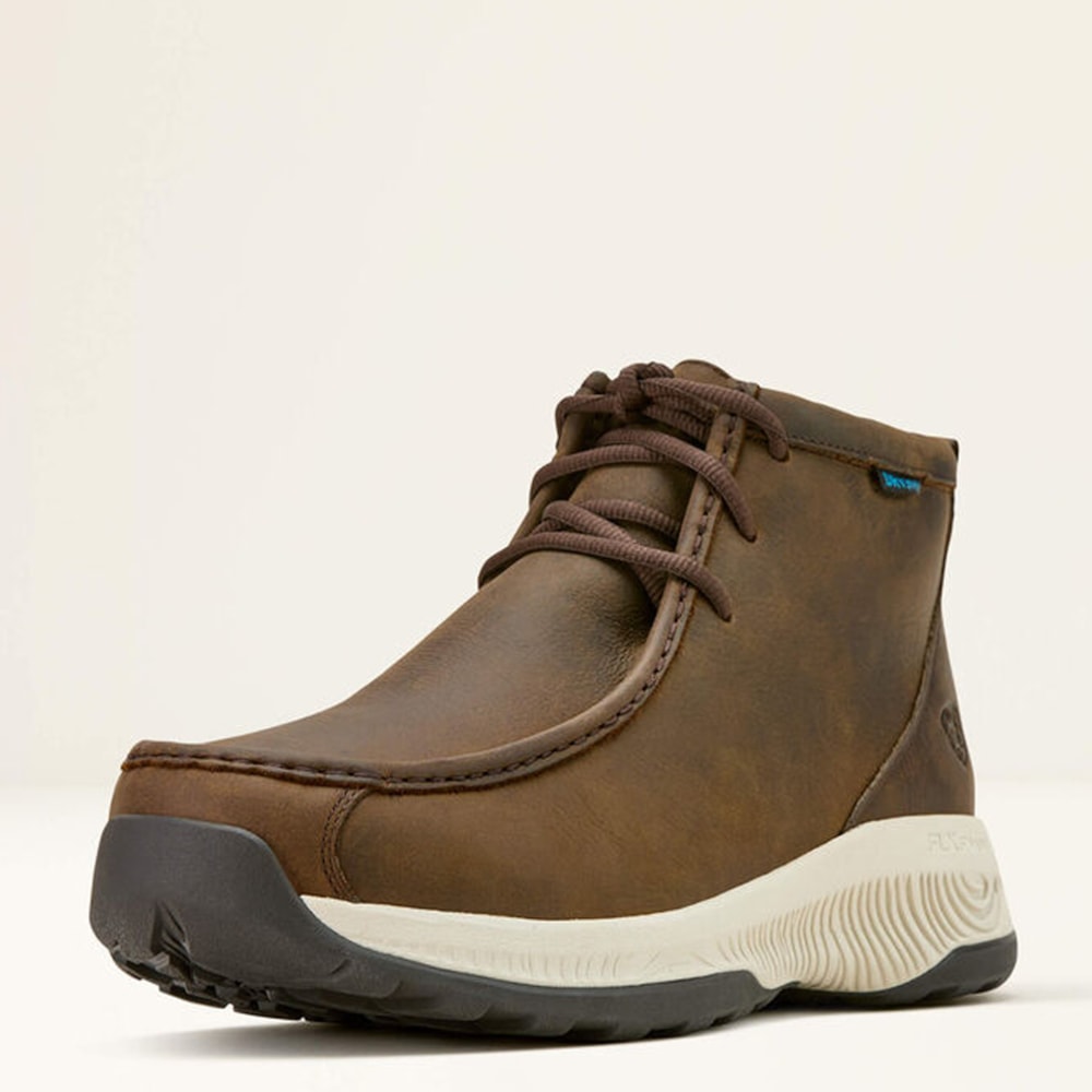 image_489811af-8b65-48bb-9090-3f89c81e4fd3