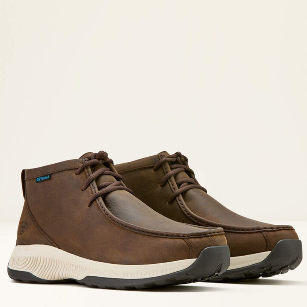 image_eac2348f-dc4c-4dcd-b2af-210a62385354