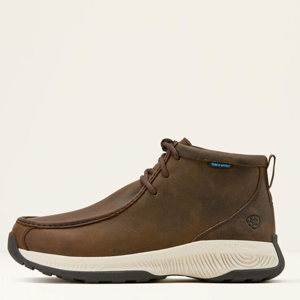 image_eb485c44-d963-4f9a-aa75-e4530b7a749c