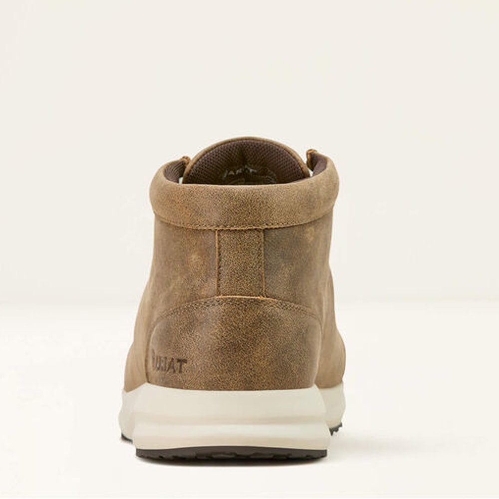 image_13a50374-fa5e-4aa7-a7b3-a6223b62817f