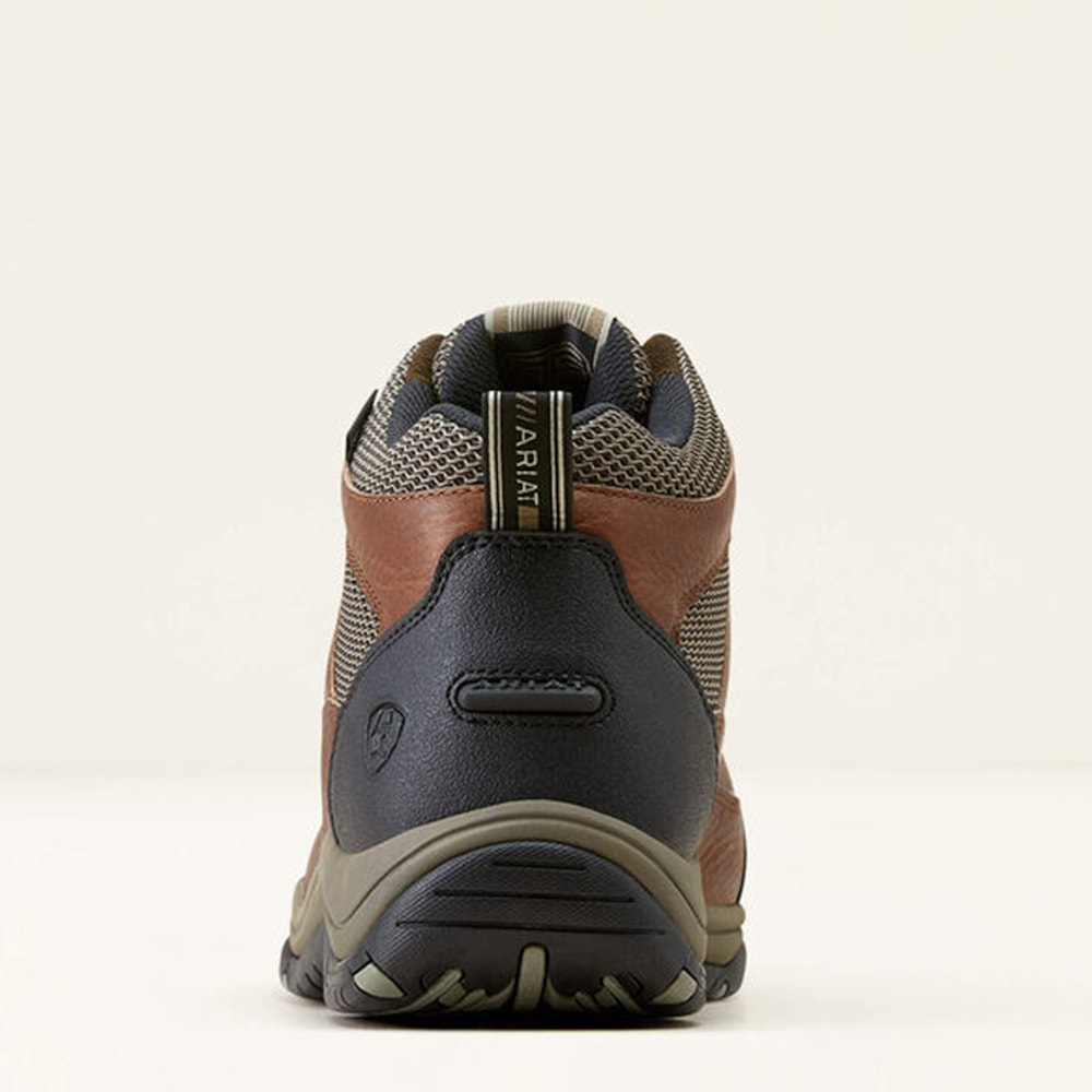 image_08721451-1487-49a6-ac88-187a1b47ad89