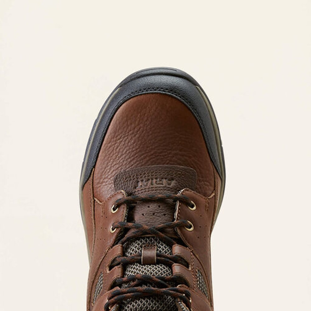 image_be2f1fda-a76a-4baa-a546-e9f688b934c9